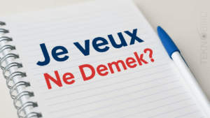 "Je veux" Ne Demek? Fransızca’nın Zarif İfadesi