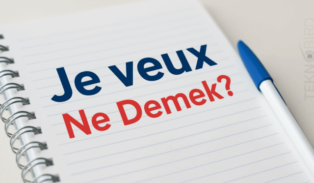 “Je veux” Ne Demek? Fransızca’nın Zarif İfadesi