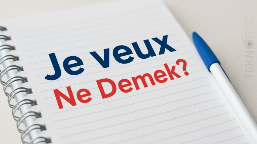 “Je veux” Ne Demek? Fransızca’nın Zarif İfadesi