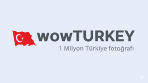 Dijital Dünyada Buluşma Noktası: Forum Kültürü ve Katkıları