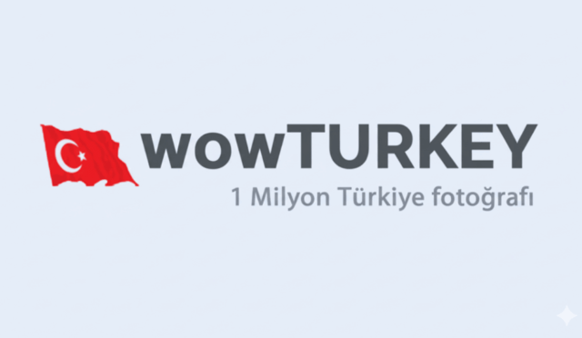 Dijital Dünyada Buluşma Noktası: Forum Kültürü ve Katkıları