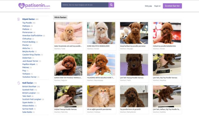 Evcil Hayvan Sahiplenme Uygulamaları – Mobil Teknolojiyle Yeni Dönem