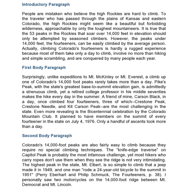 Professional Essay Example