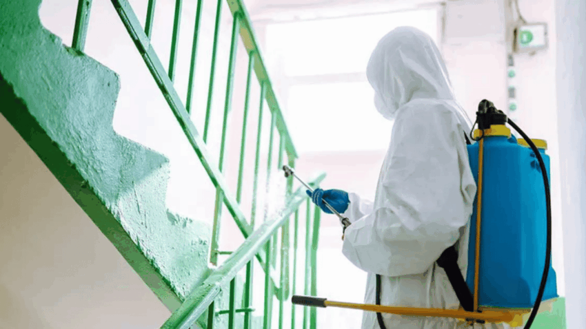 Ev İlaçlama Nedir, Neden Düzenli Olarak Yapılmalıdır?