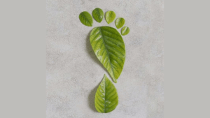 Çevre Danışmanlık Firması Hizmetleri Nelerdir