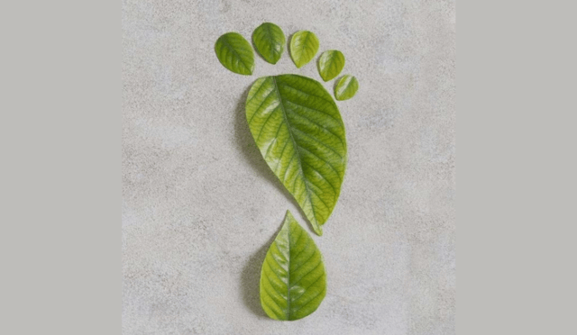 Çevre Danışmanlık Firması Hizmetleri Nelerdir