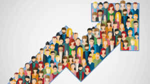 Followers vs. Likes: What Drives a Stronger Social Media Presence?