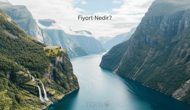 Fiyort Nedir? Coğrafi Özellikleri ve Oluşumu ile Anlatım