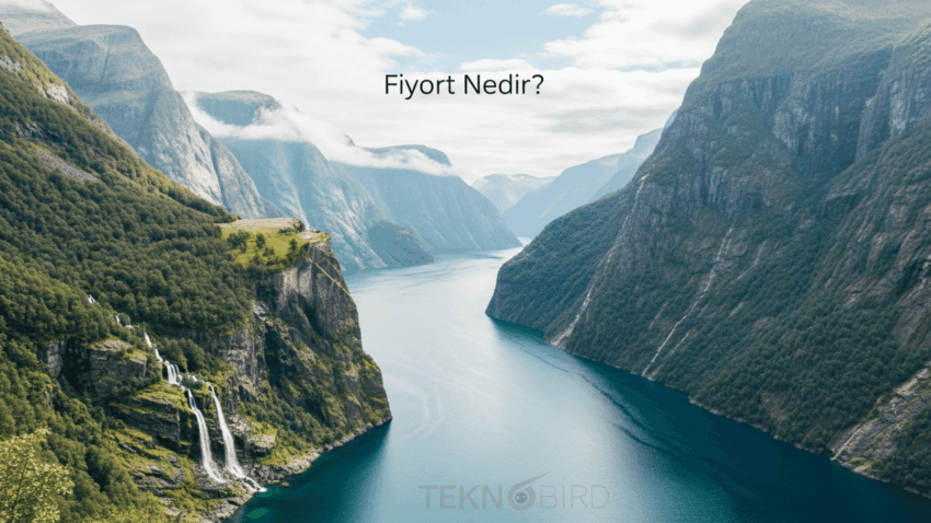 Fiyort Nedir? Coğrafi Özellikleri ve Oluşumu ile Anlatım
