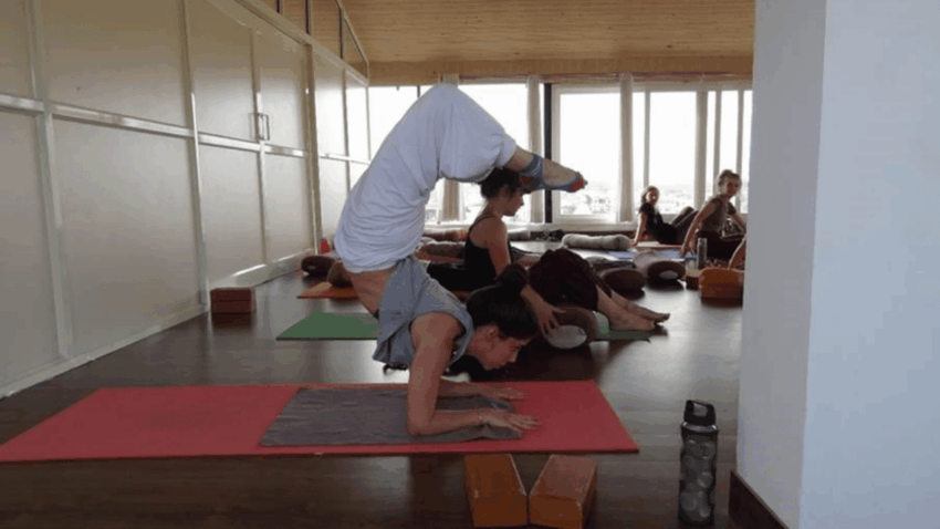 Advanced Yoga Teacher Training in India for Certified Teachers