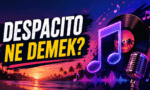 Ünlü Şarkı Despacito'nun Anlamı