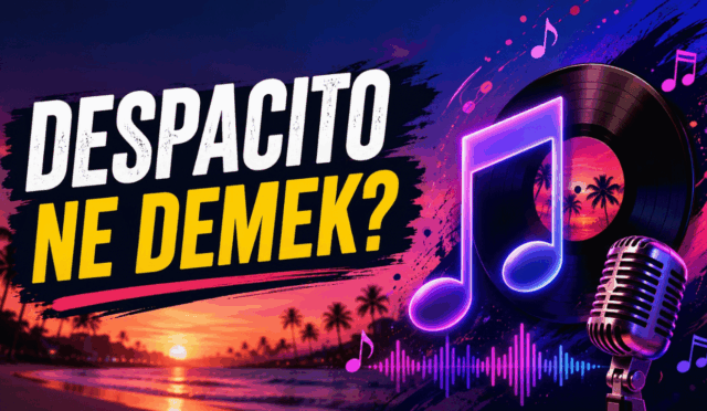 Ünlü Şarkı Despacito'nun Anlamı