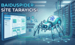 Baidu'nun arama motoru botu Baiduspider'ın web sitelerini tarama ve indeksleme sürecini gösteren illüstrasyon.