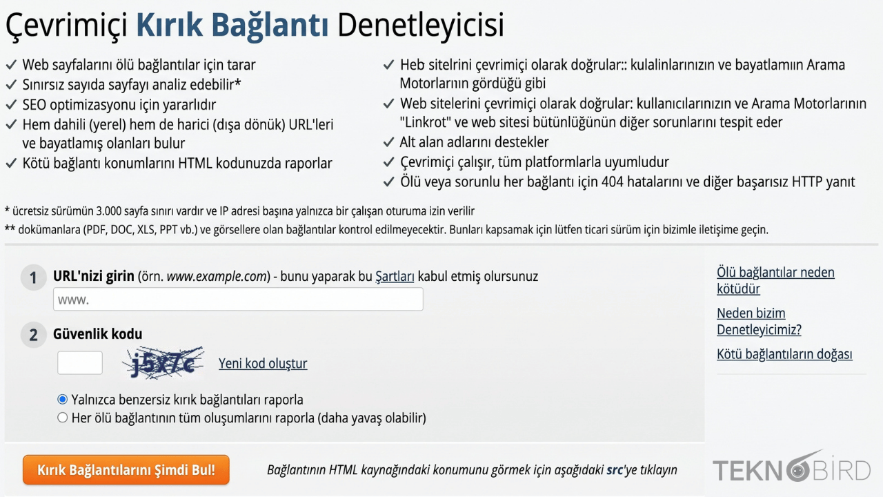 Çevrimiçi Kırık Bağlantı Denetleyicisi aracı arayüzü, URL giriş ekranı ve SEO optimizasyonu özellik listesi.