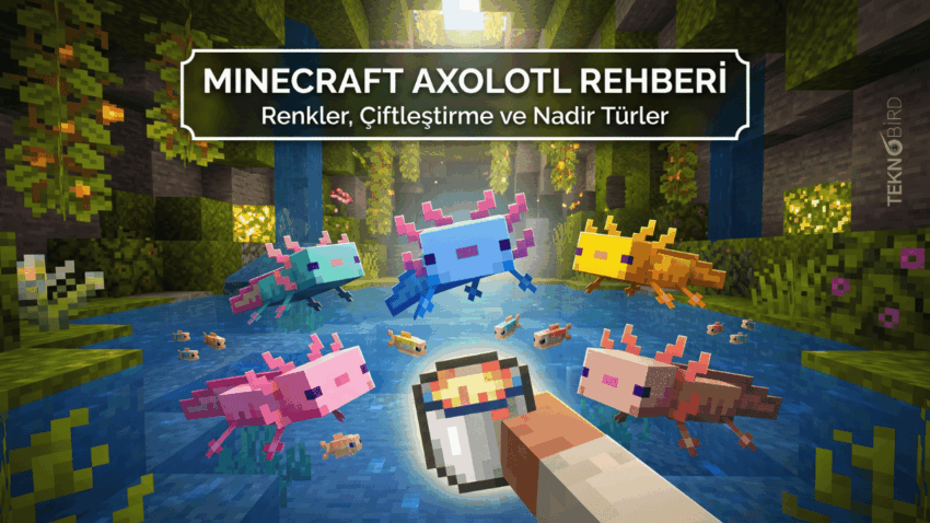 Minecraft Axolotl Rehberi: Ne Yer, Renkleri, Türleri ve Nasıl Çiftleştirilir?