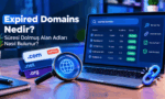 Süresi dolmuş alan adlarının yaş, backlink ve spam analizini gösteren bilgisayar ekranı.